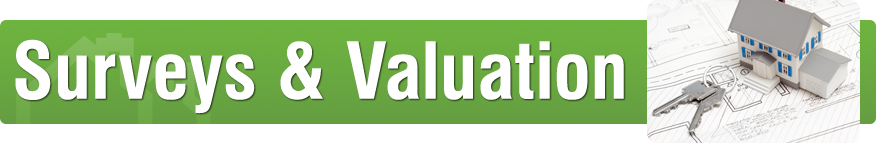 Surveys and Valuation Graphic header